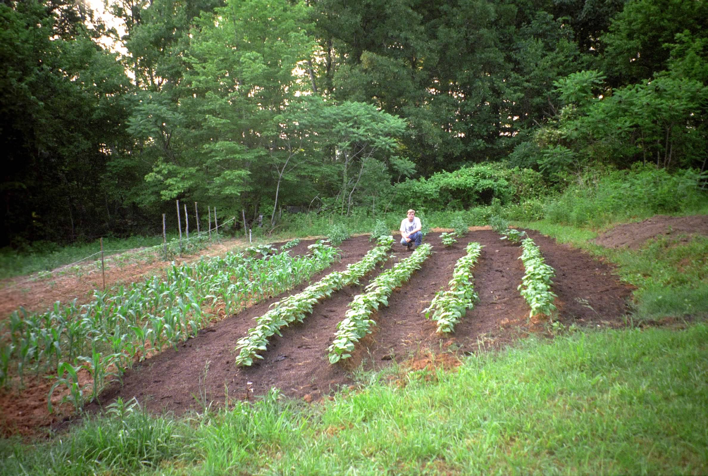 David tending his garden at Pixie Farm